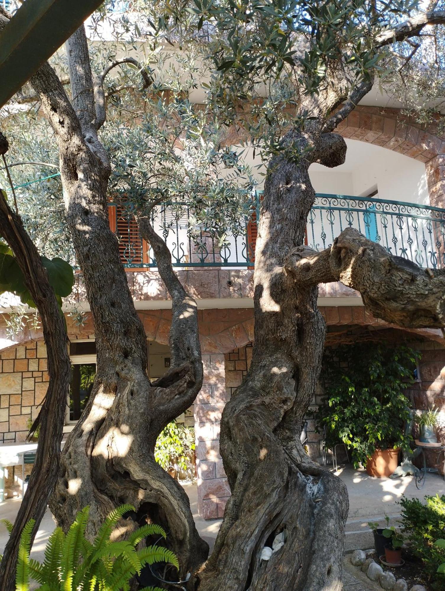 Zoro Apartments Sveti Stefan Szoba fotó
